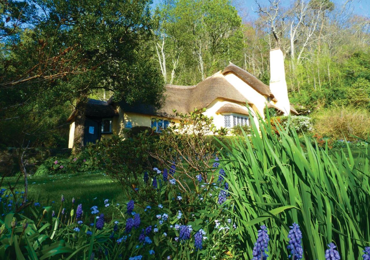 Southcliffe B&B ลินตัน ภายนอก รูปภาพ